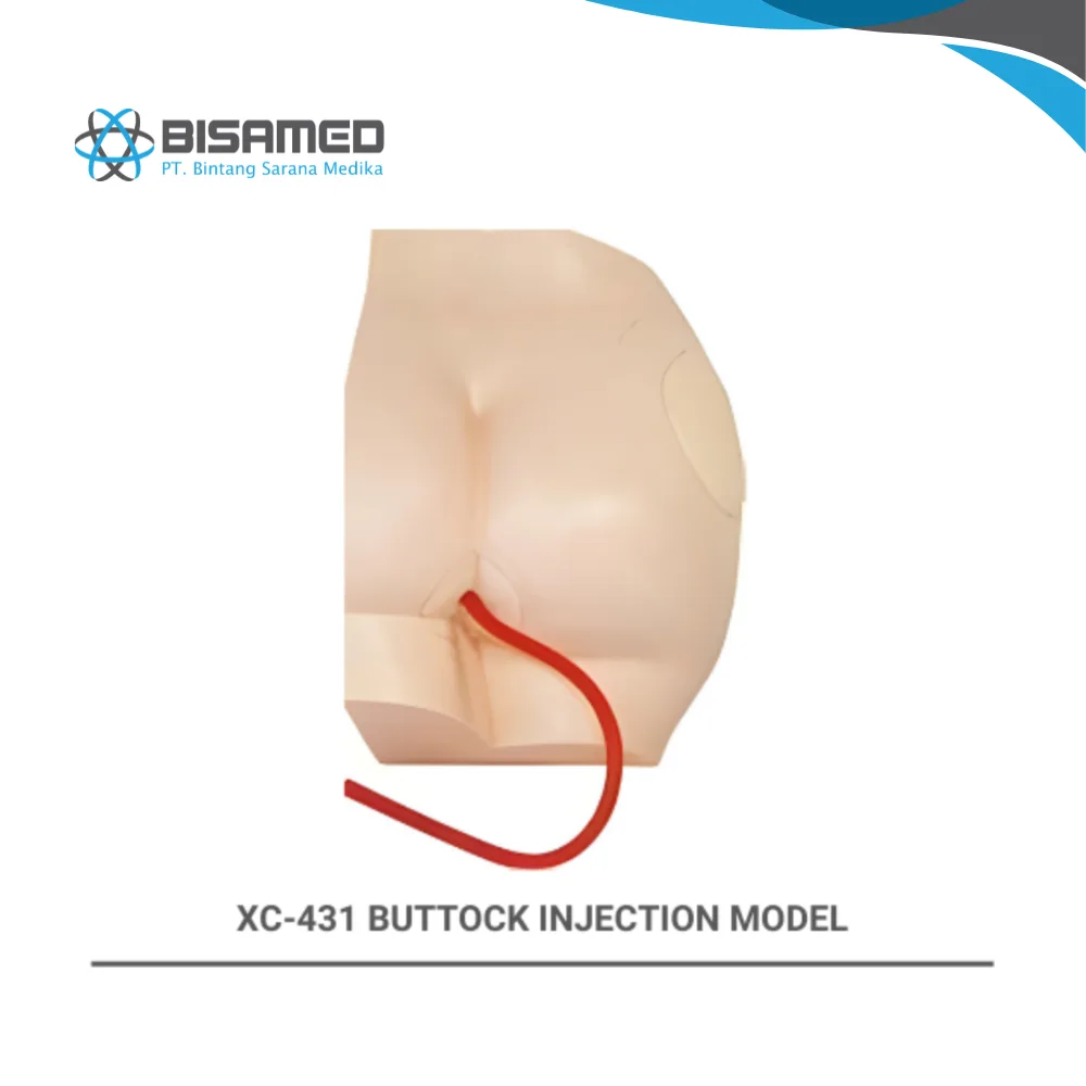 XINCH XC-431 BUTTOCK INJECTION MODEL