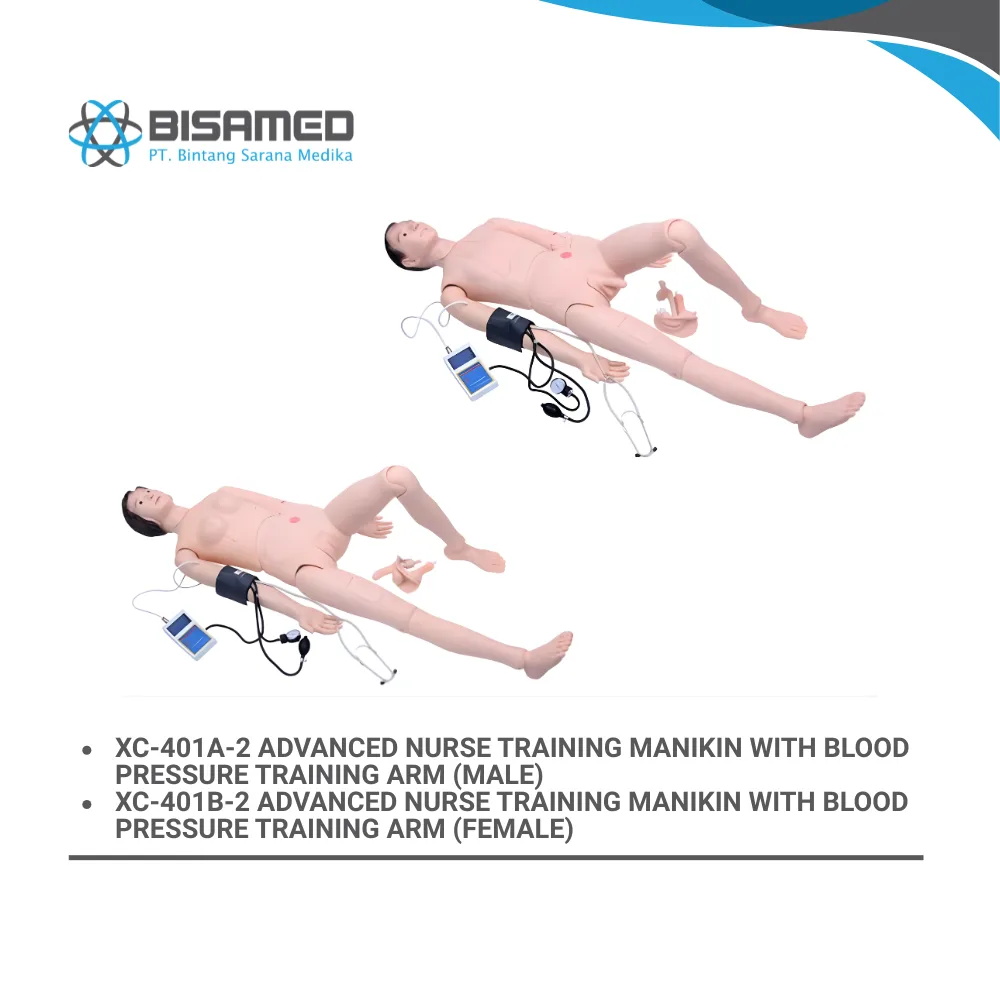 XINCH XC-401A-2 ADVANCED NURSE TRAINING DOLL WITH BLOOD PRESSURE TRAINING ARM (MALE)